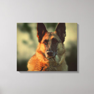 Duitse herder canvas afdruk