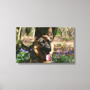 Duitse herder canvas afdruk