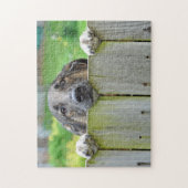 Duitse herder die over hek kijkt legpuzzel (Verticaal)