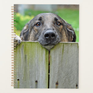Duitse herder die over hek kijkt planner