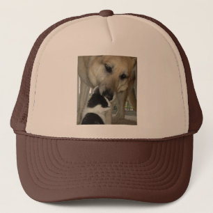 Duitse herder en Kat vriend Trucker Pet