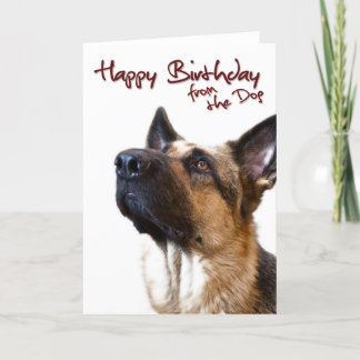 Duitse herder fromthedog1 kaart