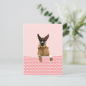 Duitse herder hond roze polka stippen briefkaart (Staand voorkant)