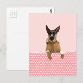 Duitse herder hond roze polka stippen briefkaart (Voorkant / Achterkant)