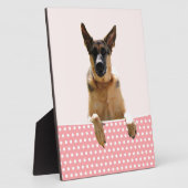 Duitse herder hond roze polka stippen fotoplaat (Zijkant)