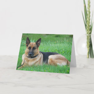 Duitse herder - Hond Wenskaart Kaart