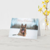 Duitse herder in de sneeuw met kerst kaart (Gele Bloem)