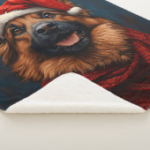 Duitse herder in een kerstmuts sherpa deken (3/4)