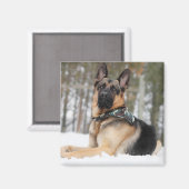 Duitse herder in sneeuw magneet (Voorkant / Achterkant)