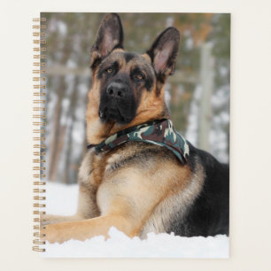 Duitse herder in sneeuw planner