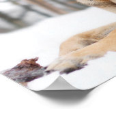 Duitse herder in sneeuw poster (Hoek)