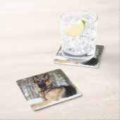 Duitse herder in sneeuw vierkante kartonnen onderzetter (Insitu)