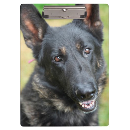 Duitse Herder Klembord (Voorkant)
