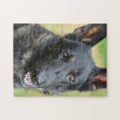 Duitse Herder Legpuzzel (Horizontaal)