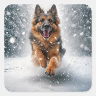 Duitse herder loopt in de sneeuw vierkante sticker