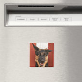 Duitse Herder magneet 2 (Insitu (Vaatwasser))