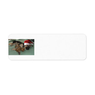 Duitse herder met een pet met een kerstmantel etiket