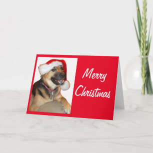 Duitse herder met Pet voor de kerstman Kaart