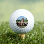  Duitse herder met Schattige Puppies Golfballen (Insitu Shirt)