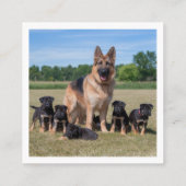 Duitse herder met Schattige Puppies Vierkante Visitekaartje (Achterkant)