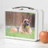 Duitse herder met Tennis Ball (In situ)