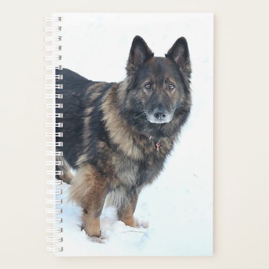 Duitse herder planner (Voorkant)