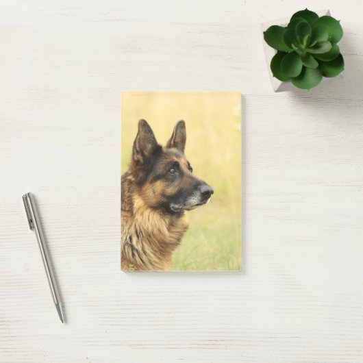 Duitse herder post-it® notes (Kantoor)