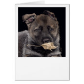 Duitse Herder Pup - "Leaf It" (Voorkant)