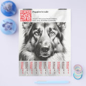 Duitse Herder Puppies te koop Flyer (Enkel)