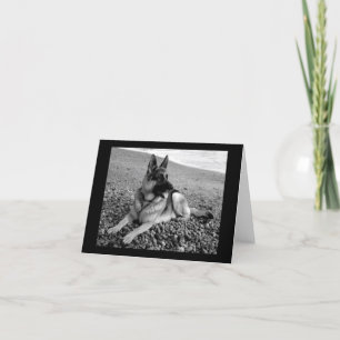 Duitse Herder Puppy Dog Blank Note Kaart