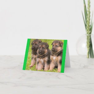 Duitse Herder Puppy Dog Blank Note Kaart