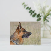 Duitse Herder Puppy Dog Blank Post Kaart (Staand voorkant)