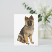 Duitse Herder Puppy Dog Blank Post Kaart (Staand voorkant)