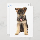 Duitse Herder Puppy Dog Blank Post Kaart (Voorkant / Achterkant)