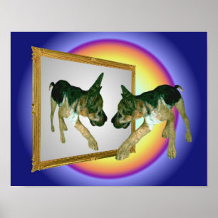 Duitse herder puppy in spiegel poster