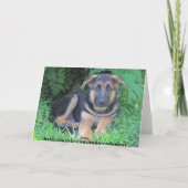Duitse Herder puppy Verjaardagskaart Kaart (Achterkant)