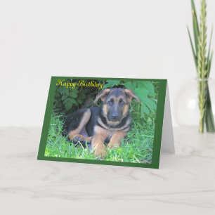 Duitse Herder puppy Verjaardagskaart Kaart