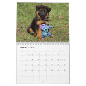Duitse Herder Puppykalender 2016 Kalender (Feb 2026)