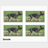 Duitse herder sable lopen Sticker (Vel)