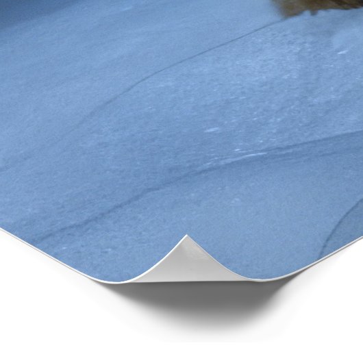 Duitse herder sneeuwslee kerstdecor poster (Hoek)