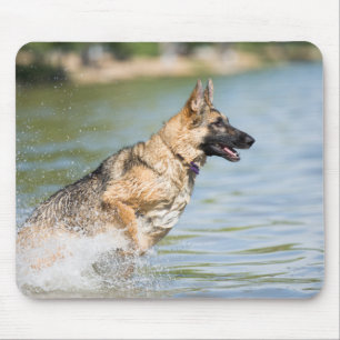 Duitse herder springt in het water muismat