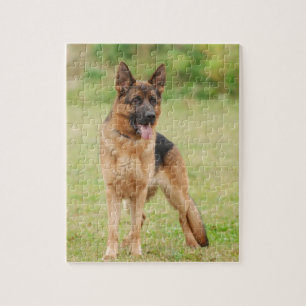 Duitse herderhond legpuzzel
