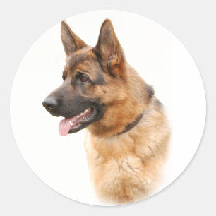 Duitse herderhond ronde sticker