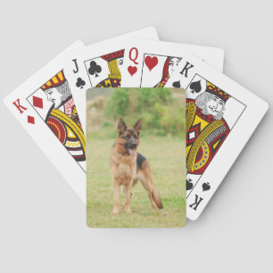 Duitse herderhond speelkaarten