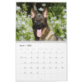 Duitse herders kalender (Mar 2026)