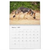 Duitse herders kalender (Feb 2027)