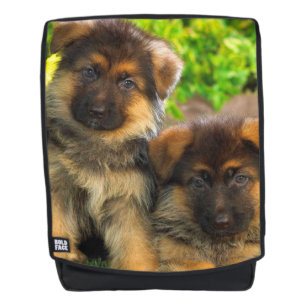 Duitse Herders Pups Rugtassen