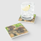 Duitse herders stenen onderzetter (Zijkant)