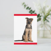Duitse herderschapspuppy dog blanco postkaart (Staand voorkant)