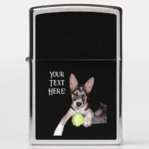 Duitse Herdershond Blue Heeler Mix Puppy